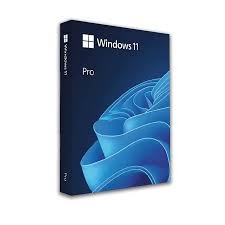 Windows 11 Pro
